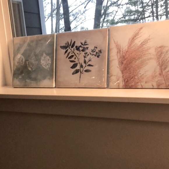 NEW 3-Piece Wall Art Set - Outdoor/Tree/Plant Rustic Photography Theme Pieces - Picture 2 of 11